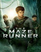 The Maze Runner (2014) Free Download