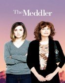 poster_the-meddler_tt4501454.jpg Free Download