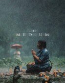 The Medium Free Download