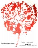 poster_the-miracle-of-life_tt3012194.jpg Free Download