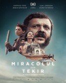 The Miracle of Tekir Free Download