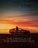 The Miracle of the Sargasso Sea Free Download