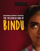 poster_the-miseducation-of-bindu_tt7955022.jpg Free Download