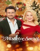 poster_the-mistletoe-secret_tt10768348.jpg Free Download