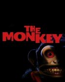 poster_the-monkey_tt27714946.jpg Free Download