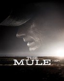 poster_the-mule_tt7959026.jpg Free Download