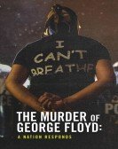 The Murder of George Floyd: A Nation Responds Free Download