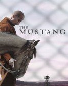 The Mustang (2019) Free Download