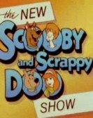 The New Scooby And Scrappy-doo Show poster