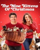 The Nine Kittens of Christmas poster