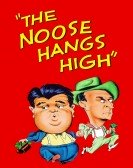 poster_the-noose-hangs-high_tt0040652.jpg Free Download