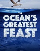 poster_the-oceans-greatest-feast_tt16350310.jpg Free Download