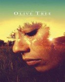 The Olive Tree Free Download