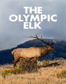 The Olympic Elk Free Download