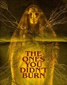 The Ones You Didnâ€™t Burn poster