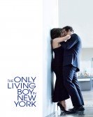 The Only Living Boy in New York (2017) poster