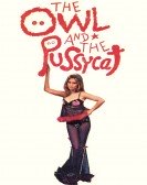 The Owl and the Pussycat Free Download