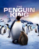 poster_the-penguin-king_tt2076349.jpg Free Download