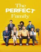 poster_the-perfect-family_tt11924738.jpg Free Download