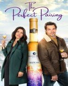 The Perfect Pairing Free Download