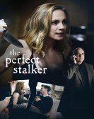 The Perfect Stalker Free Download
