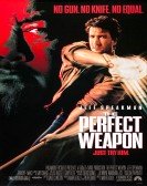 The Perfect Weapon poster