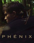 poster_the-phoenix_tt7965254.jpg Free Download