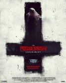 The Possession Experiment poster