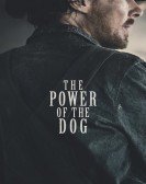 poster_the-power-of-the-dog_tt10293406.jpg Free Download