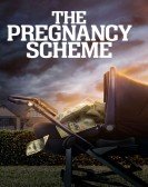 The Pregnancy Scheme Free Download