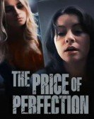 The Price of Perfection poster