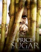 The Price of Sugar Free Download