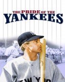 Pride of the Yankees Free Download