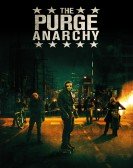 poster_the-purge-anarchy_tt2975578.jpg Free Download