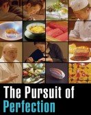 The Pursuit Of Perfection Free Download