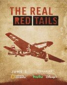 The Real Red Tails poster