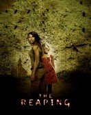 poster_the-reaping_tt0444682.jpg Free Download