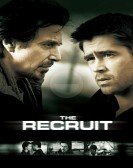 poster_the-recruit_tt0292506.jpg Free Download