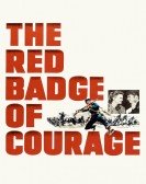 poster_the-red-badge-of-courage_tt0043961.jpg Free Download