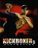 The Redemption: Kickboxer 5 Free Download