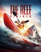 The Reef: Stalked Free Download