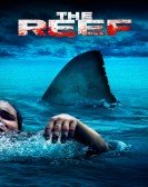 The Reef Free Download
