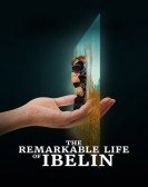 poster_the-remarkable-life-of-ibelin_tt19811010.jpg Free Download