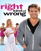 The Right Kind of Wrong (2013) Free Download