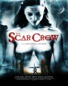 The Scar Crow poster