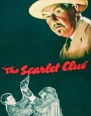 poster_the-scarlet-clue_tt0038056.jpg Free Download