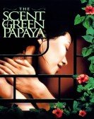 The Scent of Green Papaya Free Download