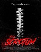 The Scrotum Free Download