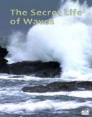 The Secret Life of Waves poster