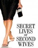 The Secret Lives of Second Wives Free Download